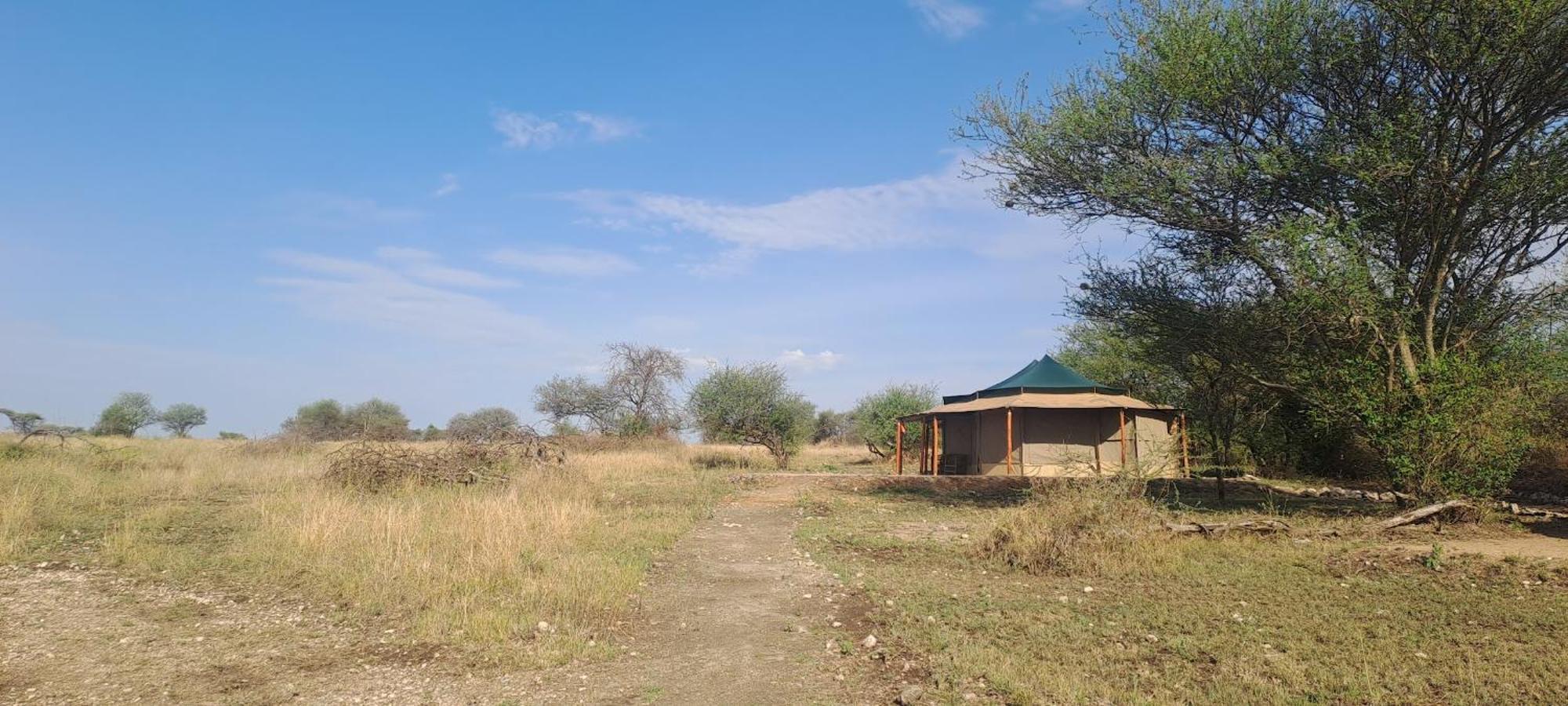 House Of Nature Serengeti Luaran gambar